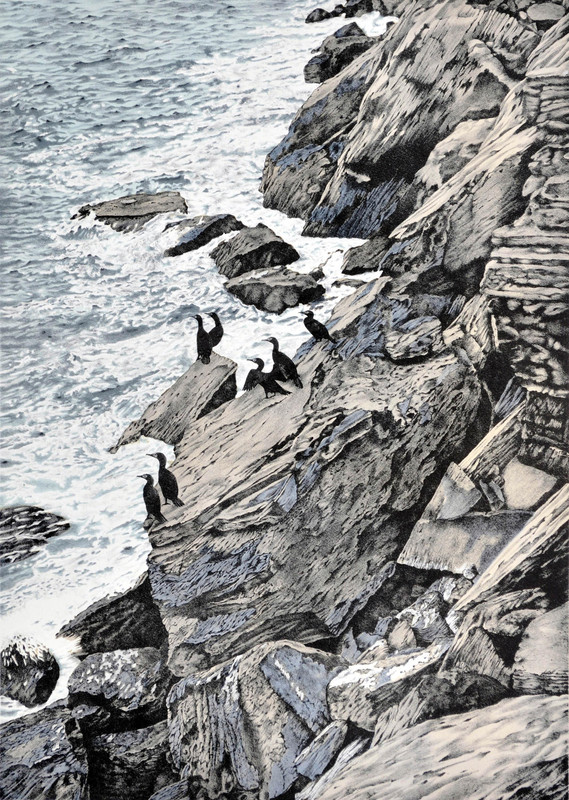 Cliff Divers