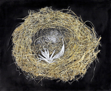 Empty Nest