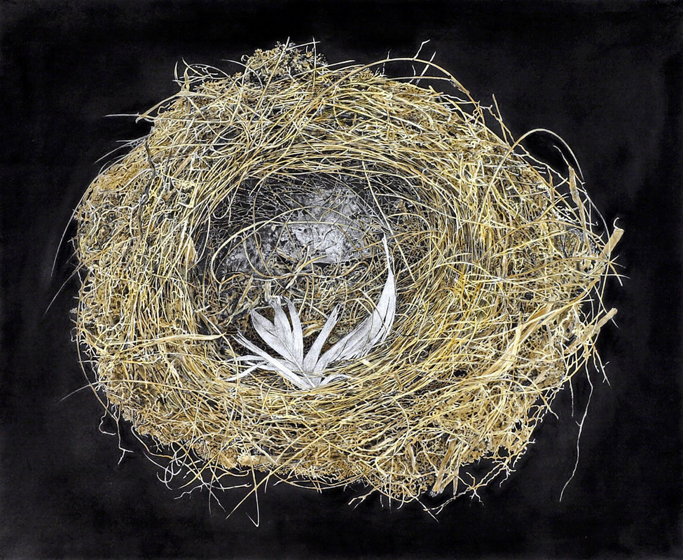 Empty Nest