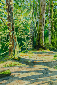 In Shadow There is Light