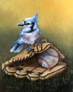 Blue Jays Baseball