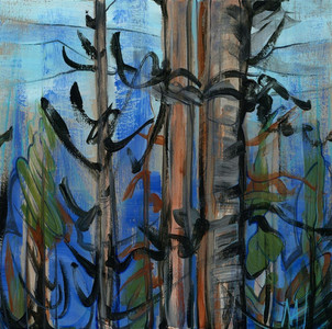 Northern Timber