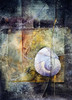 View #1