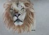 View #1