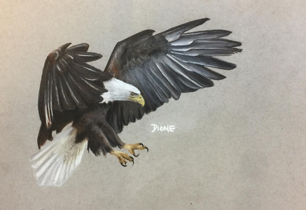 Eagle