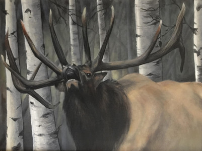 Elk