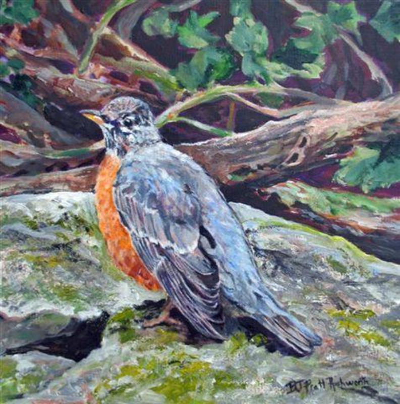 Robin