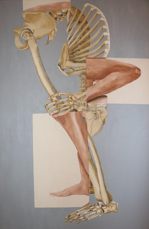 Anatomy