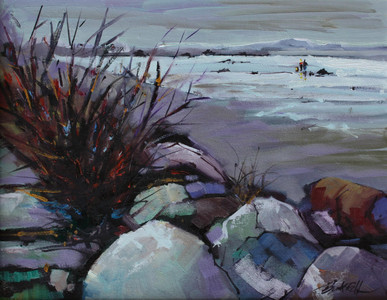 Beach Walk Pt Holmes
