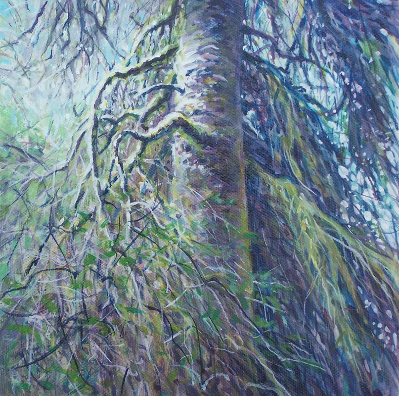 In the Woods After the Rain
