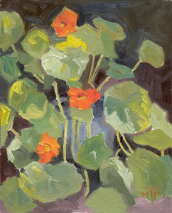 Nasturtiums