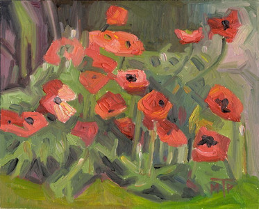 Poppies