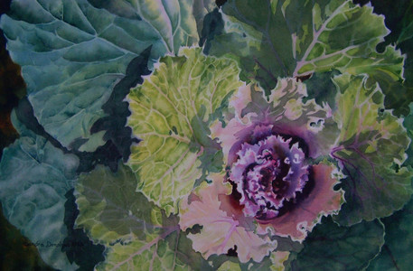 Flowering Kale