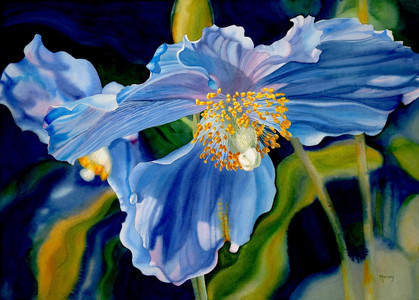 Two Blue Poppies