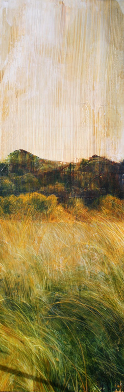 Grassland