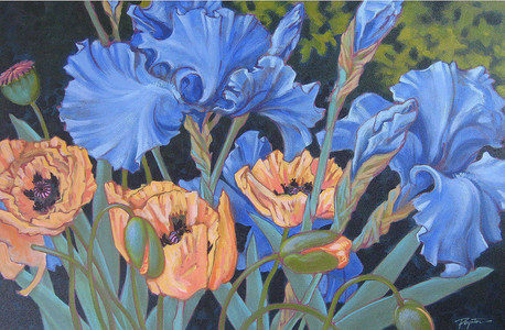 Blue Iris Poppies