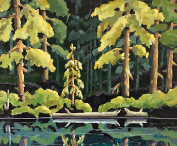 Forest Reflection1