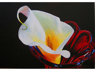 Calla Lilly