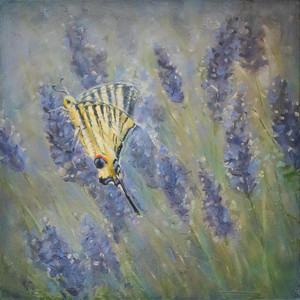 Lavender in Lurs