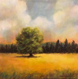 Tree in the Field