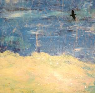 Solitary Crow