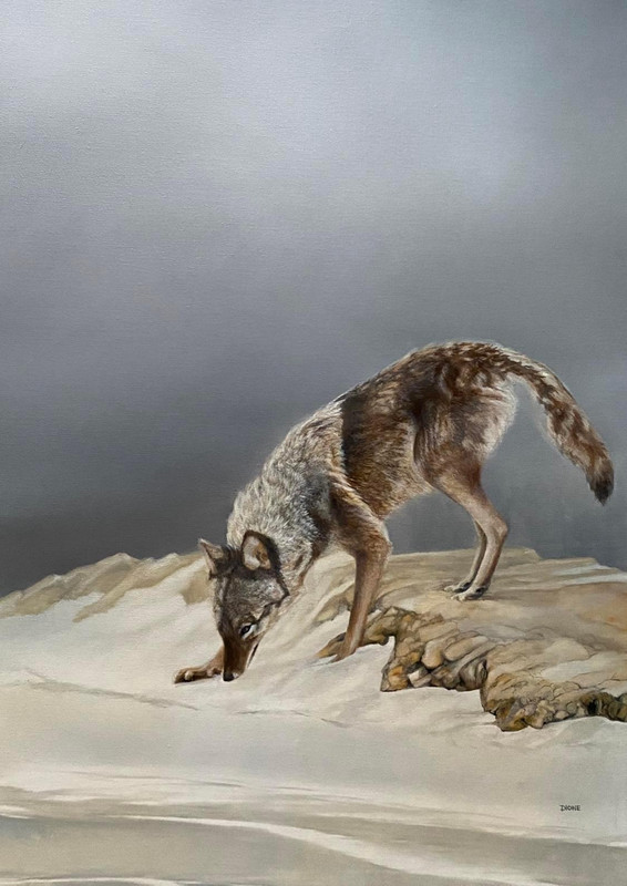 Barren Shoreline