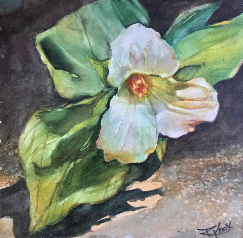 Welcome to Ontario-Trillium study