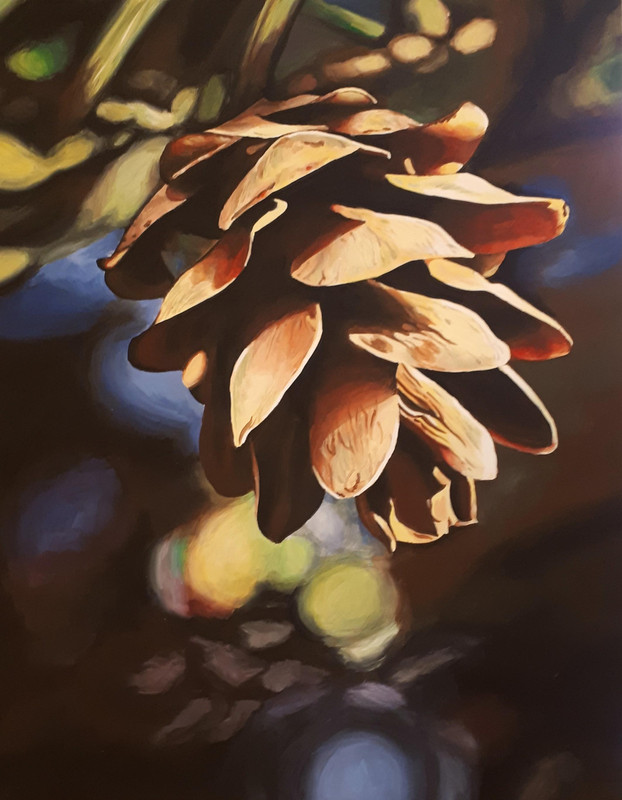 Pine Cone Dreams