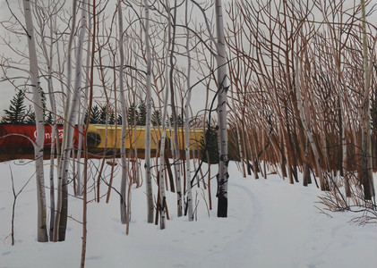 Walking next the railway, Edworthy Park