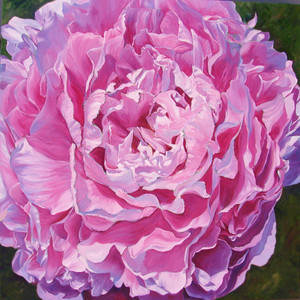 Pink Peony