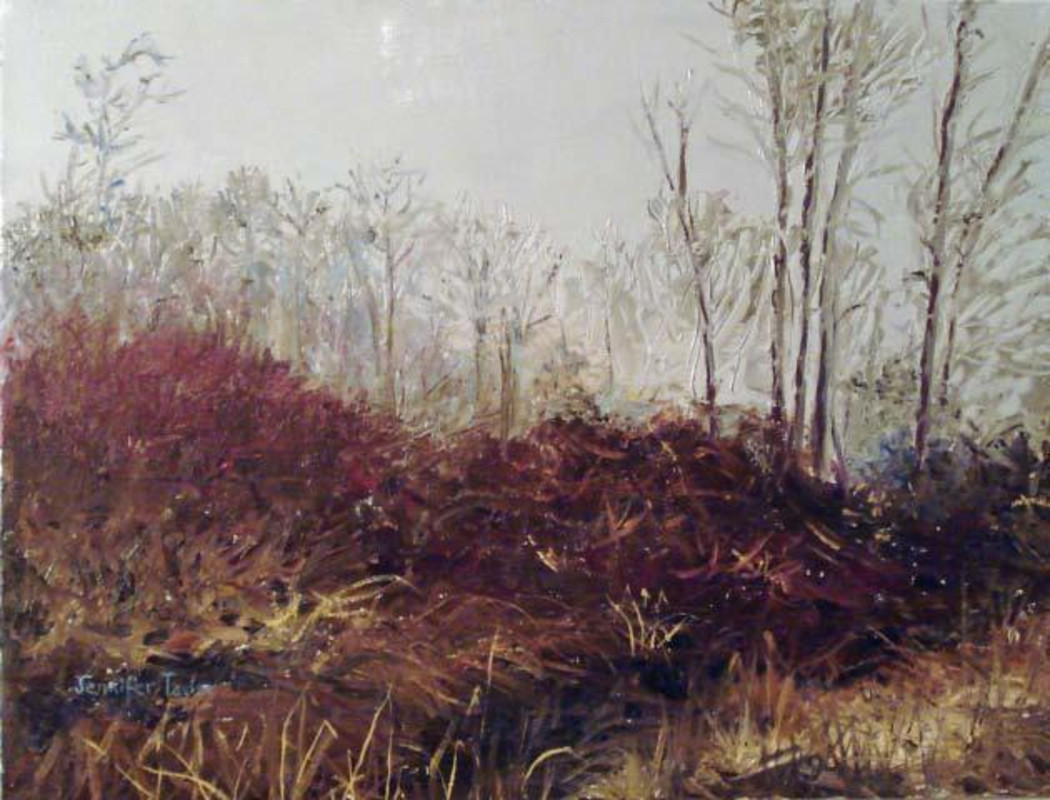 Winter Willows