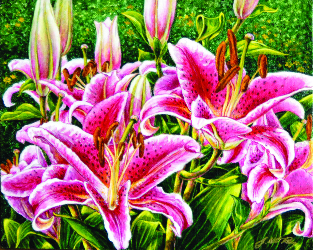 Pride  of my Garden
