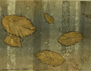 Forest Metallics