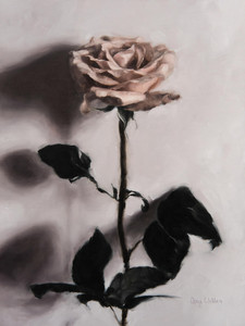 Portrait of a Rose IX