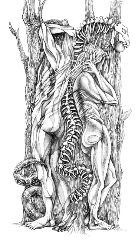 Never Met (Adam & Eve)