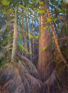 Secrets In The Cedars