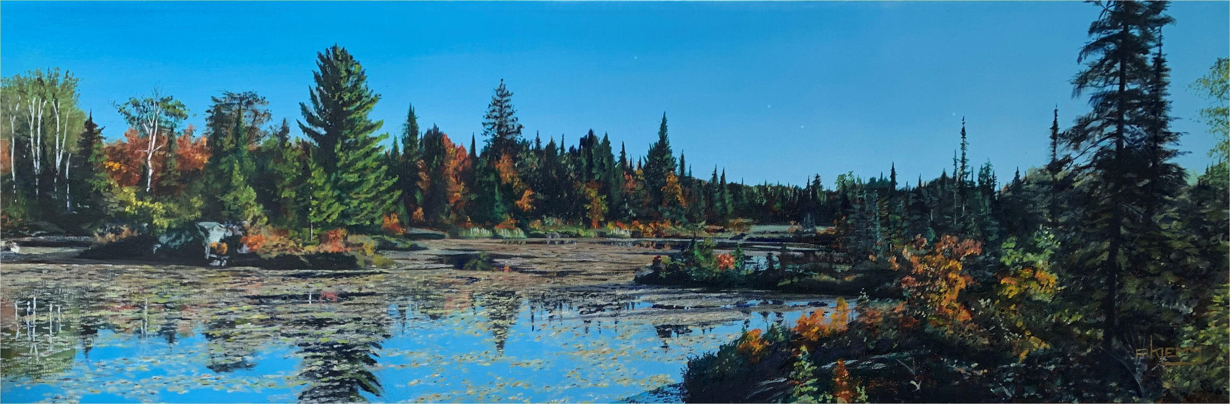 Fall Morning