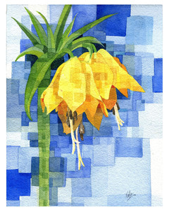 Yellow Fritillaria, for Ukraine