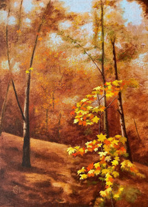 Autumn at Glen Abbey Trail
