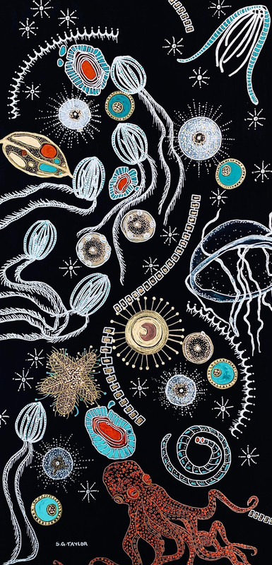 The Importance of Plankton with Baby Octopus