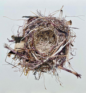First Place: Nidus - Sparrow's Nest