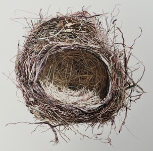 Nidus 2 - Robin's Nest