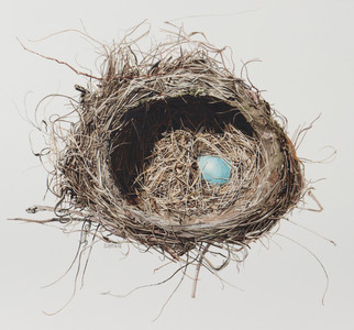 Nidus 3 - Robin's Nest with Egg