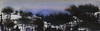 View #1