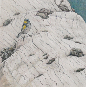 On the Bones of a Giant (Yellow-rumped Warbler)