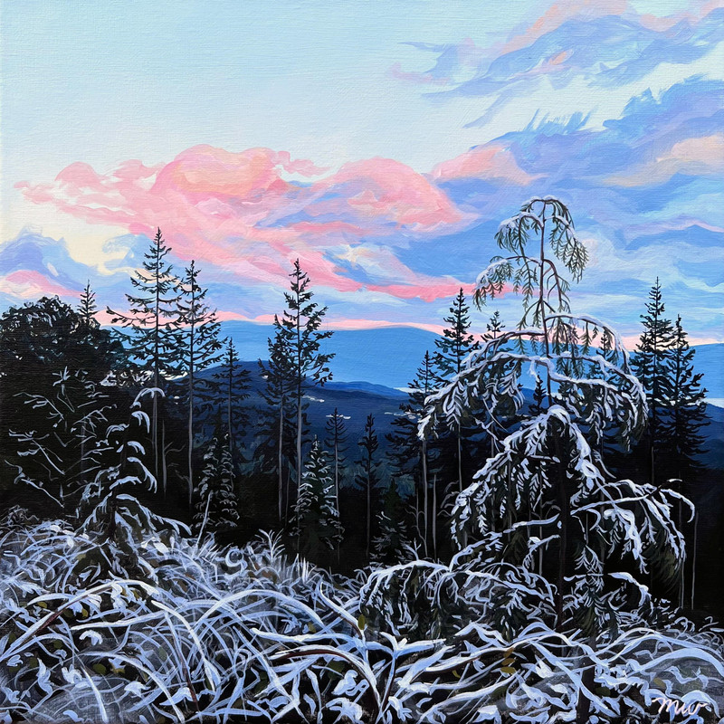 Cedar in the Snow