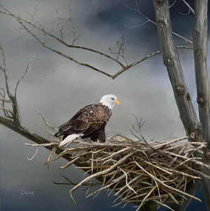 4 - Eagle’s Nest