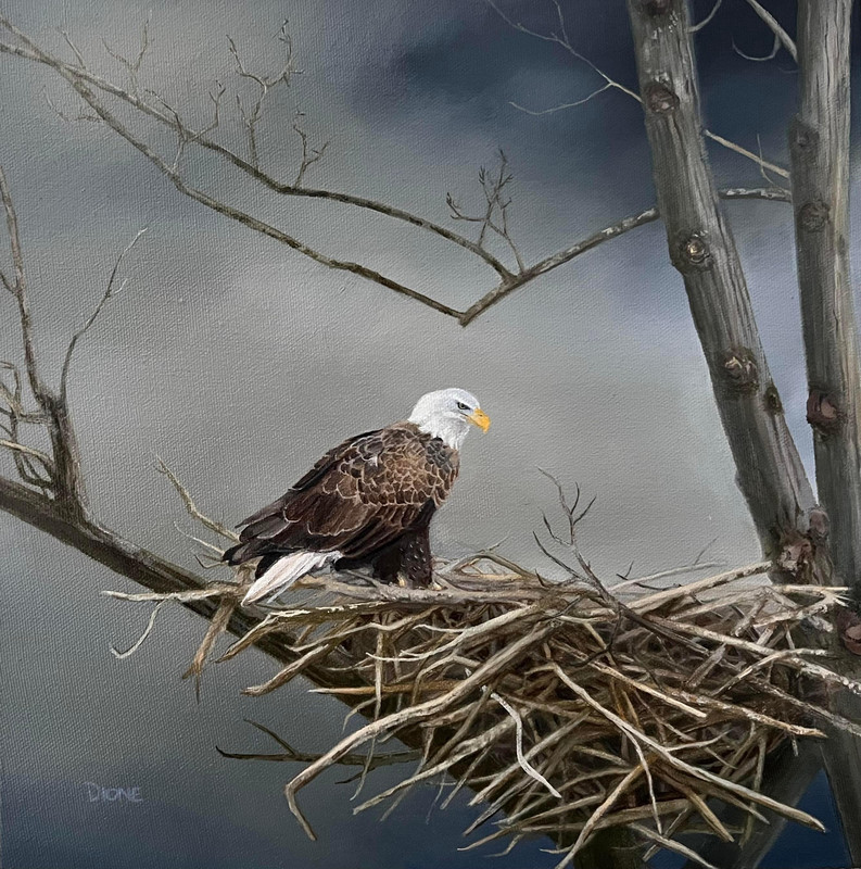Eagle&rsquo;s Nest