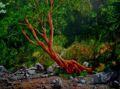 Imagine an Arbutus at Crescent Beach