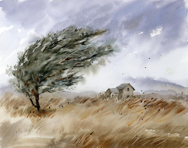 A Windy Day on the Farm